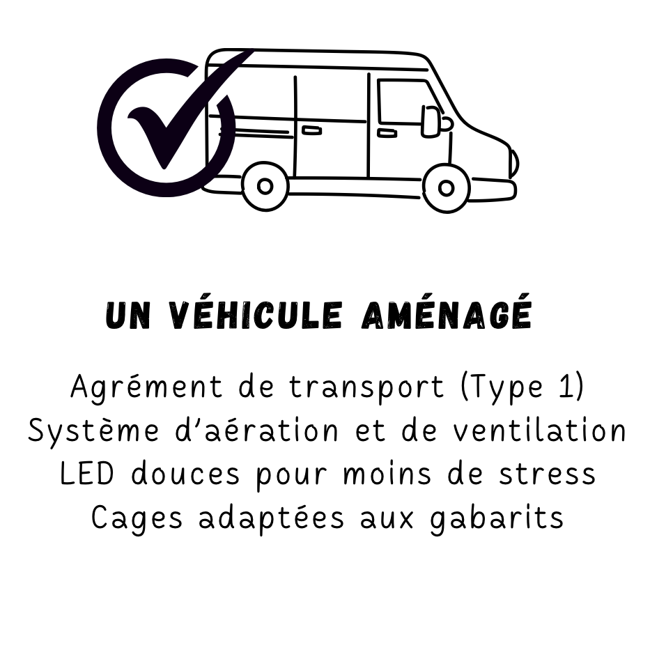 Transport : Véhicule aménagé avec cages adaptées au gabarit, système d’aération et de ventilation
