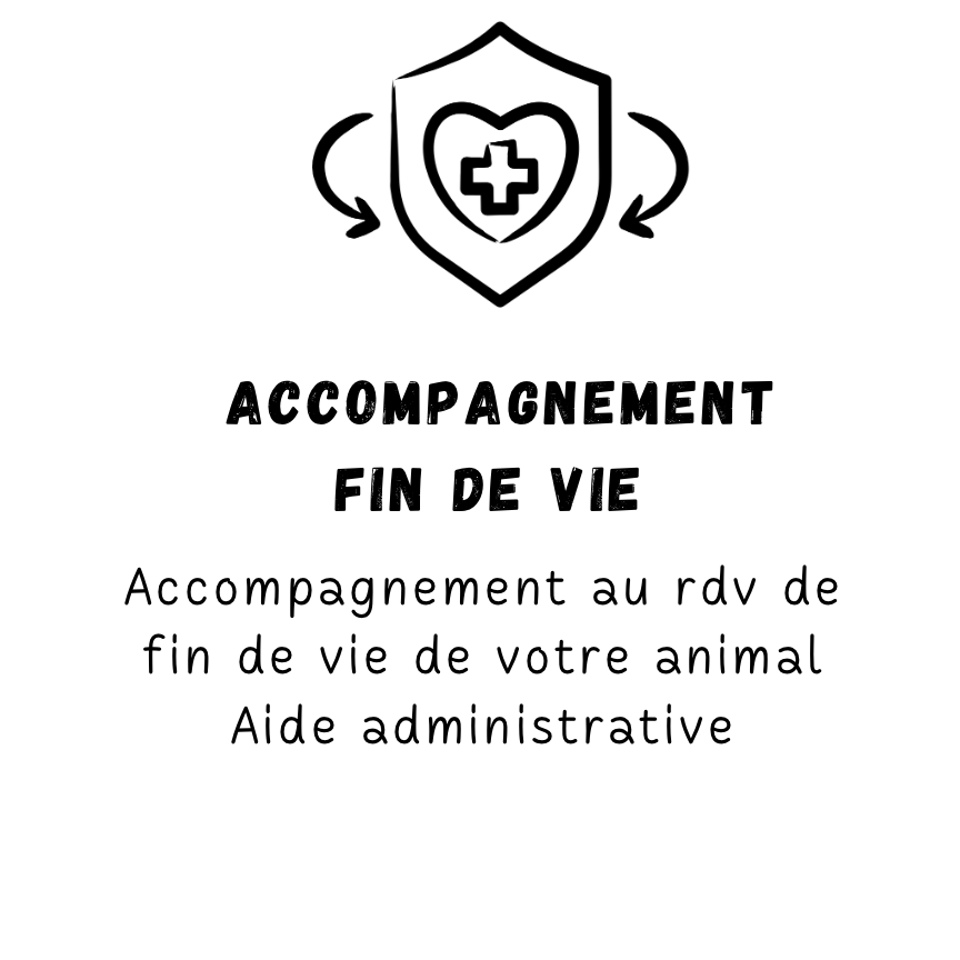 Transport : Il est possible de vous accompagner physiquement au rendez-vous d’euthanasie de votre compagnon pour vous offrir une présence rassurante et un soutien émotionnel
