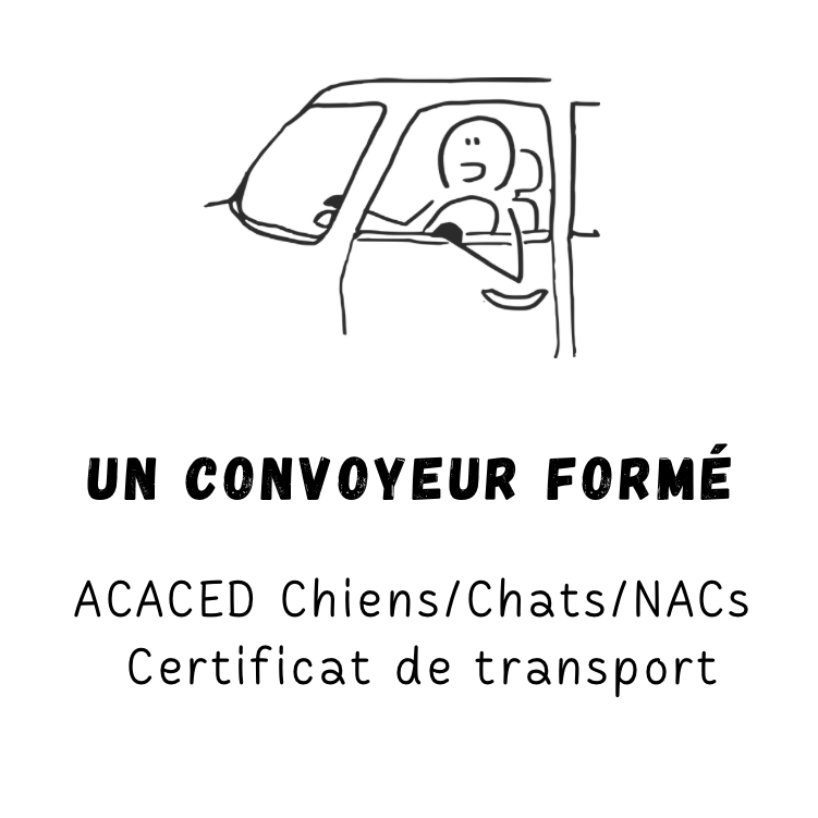 Transport : Convoyeur formé au transport d’animaux vivants